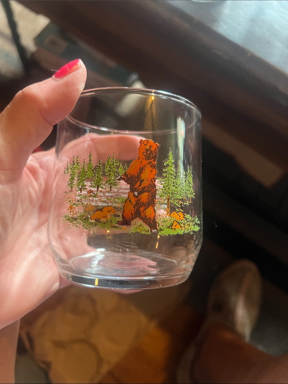 Vintage American wildllife Glass Tumbler -6